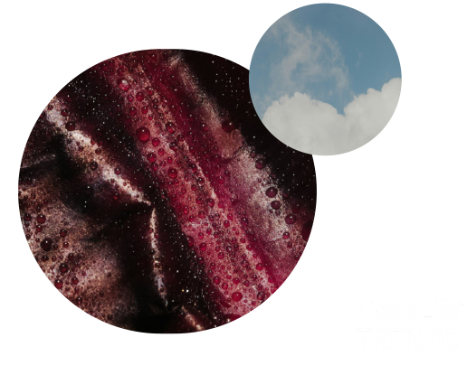 Ambiente Color del Año