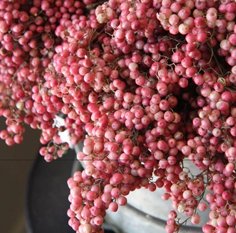 Frutos del bosque