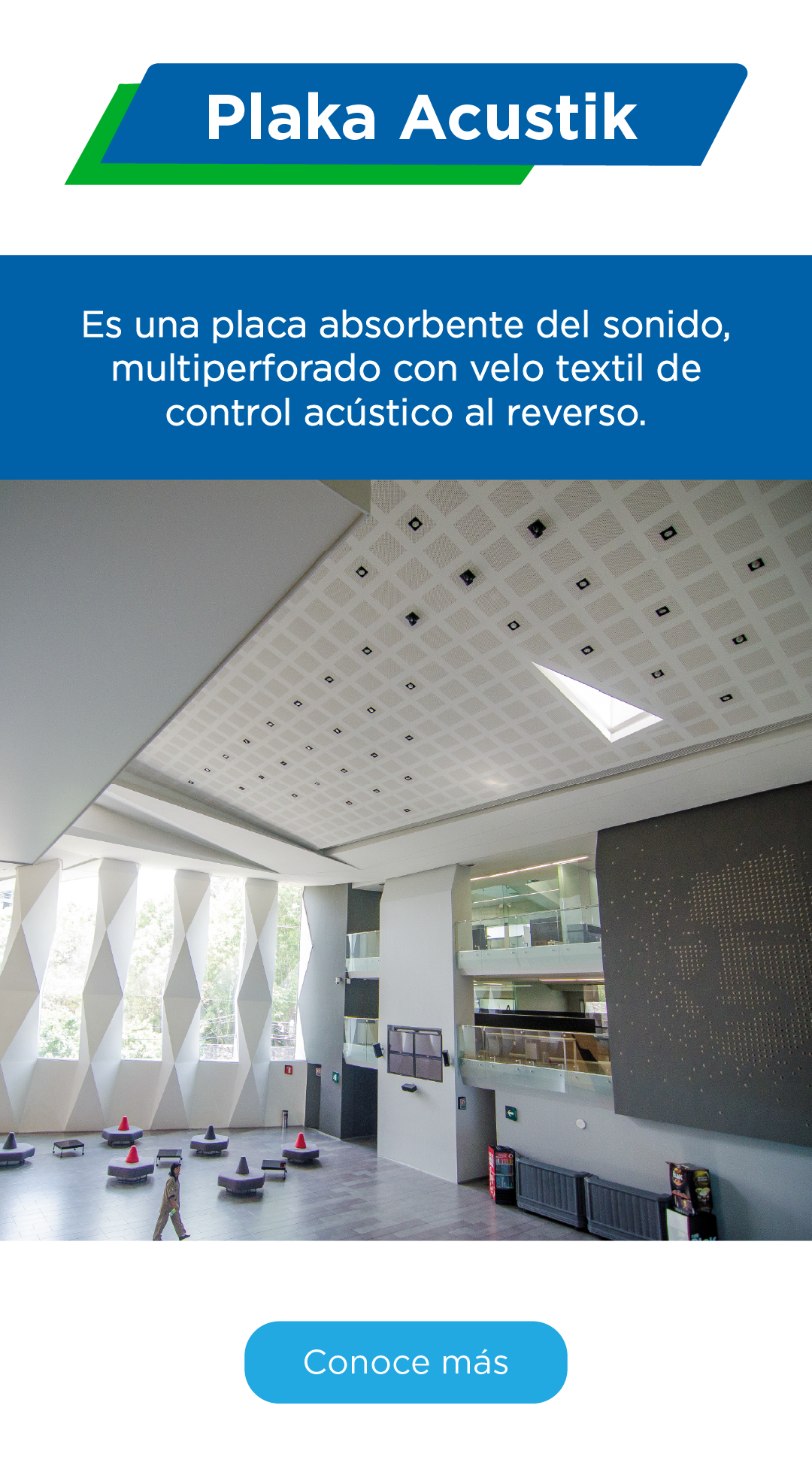Imagen 8