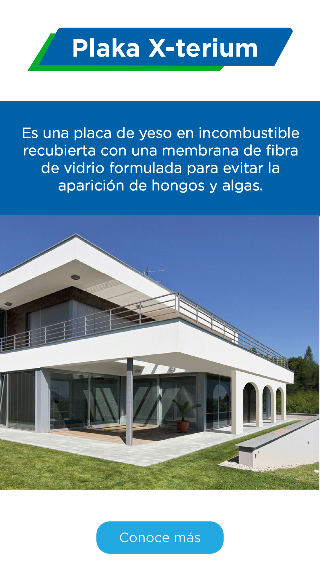Imagen 6