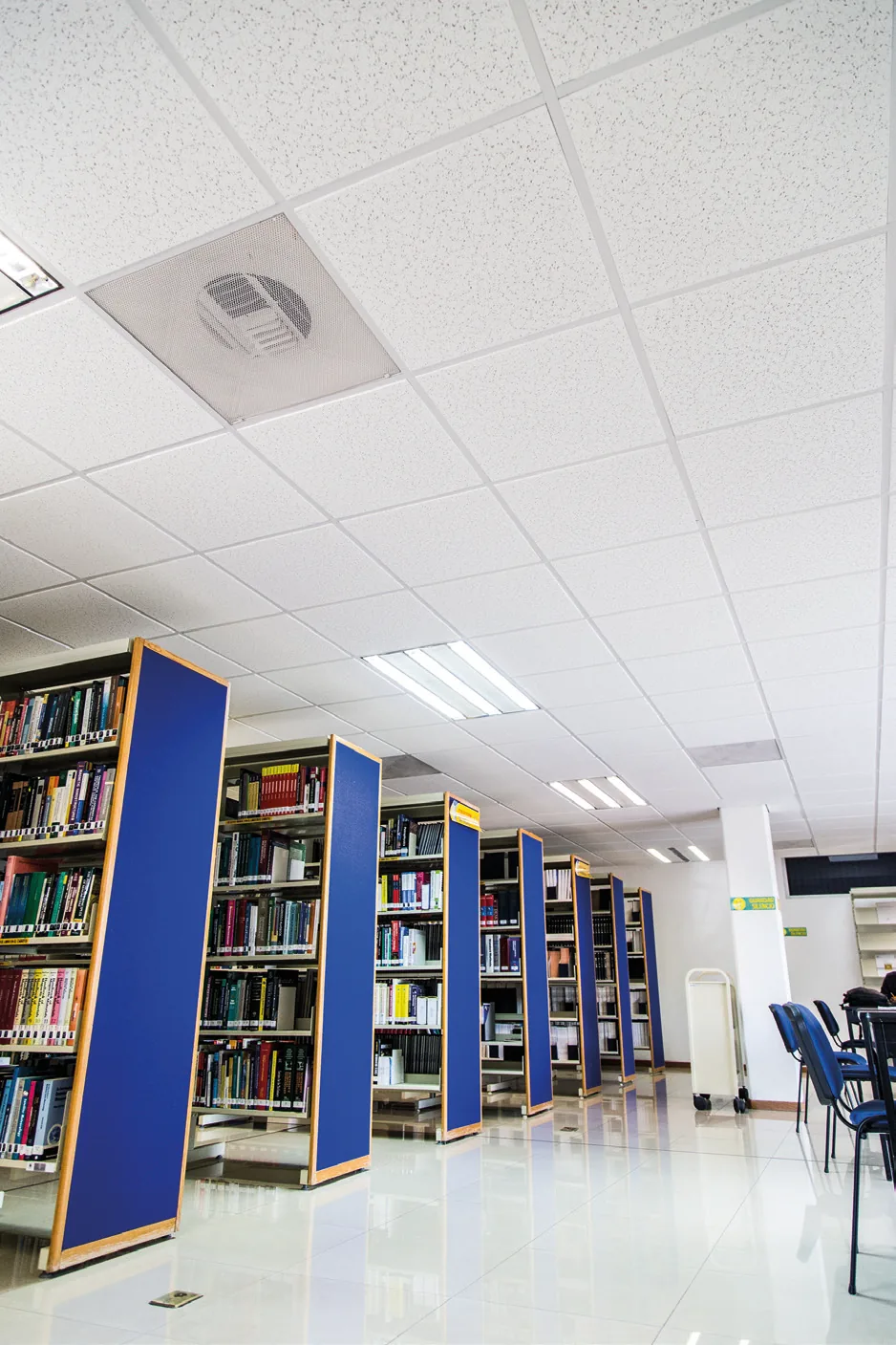 Biblioteca equipada con plafones